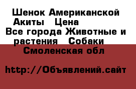 Шенок Американской Акиты › Цена ­ 35 000 - Все города Животные и растения » Собаки   . Смоленская обл.